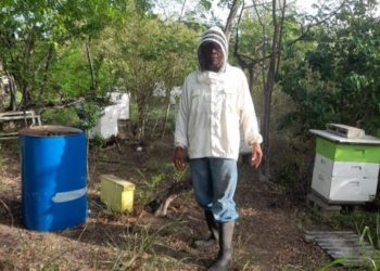 “Busy” uses his beekeeping business to benefit the community in Dominica