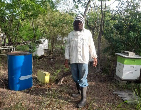 “Busy” uses his beekeeping business to benefit the community in Dominica