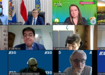 Striving to Rehabilitate Agriculture Following the Volcano Disaster, IICA Coordinates Another Seed Donation to Saint Vincent and the Grenadines