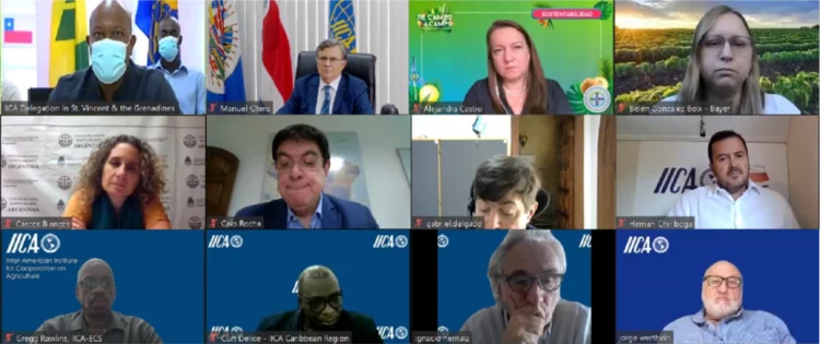 Striving to Rehabilitate Agriculture Following the Volcano Disaster, IICA Coordinates Another Seed Donation to Saint Vincent and the Grenadines