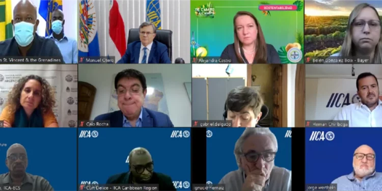 Striving to Rehabilitate Agriculture Following the Volcano Disaster, IICA Coordinates Another Seed Donation to Saint Vincent and the Grenadines