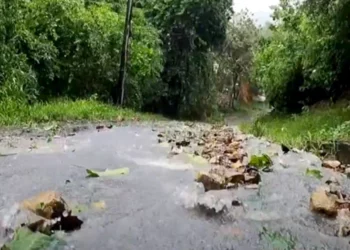 USAID/Eastern and Southern Caribbean’s Regional Symposium Urges Immediate Action on Climate Change in Caribbean