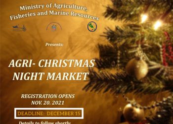 AGRI CHRISTMAS NIGHT MARKET REGISTRATION OPENS THIS WEEKEND