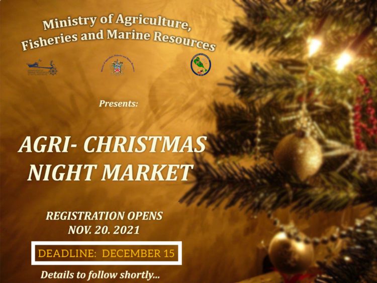 AGRI CHRISTMAS NIGHT MARKET REGISTRATION OPENS THIS WEEKEND