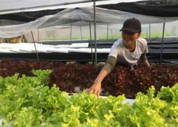 IICA renews commitment to ICOA to backstop productive and commercial development of organic agriculture