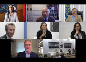 Experts issue a warning at COP 26: soil care and health must be part of the global climate change agenda