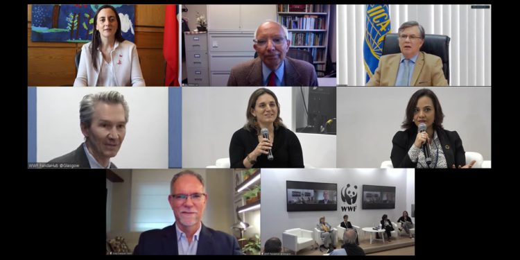 Experts issue a warning at COP 26: soil care and health must be part of the global climate change agenda