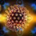 HEALTH AUTHORITIES WARN AGAINST THE INEVITABLE FOURTH WAVE OF COVID-19 VIRUS IN ST. KITTS AND NEVIS