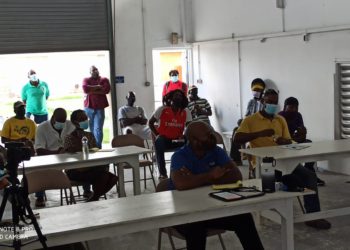 FAO and IICA lead Knowledge Gathering Session for Black Pineapple Producers in Antigua
