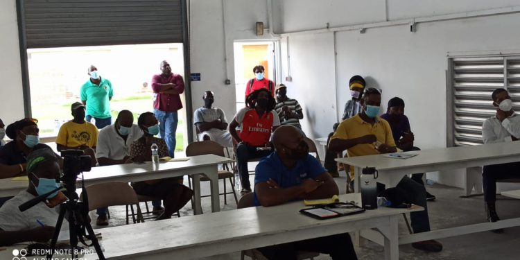 FAO and IICA lead Knowledge Gathering Session for Black Pineapple Producers in Antigua