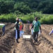 FARMERS FIELD SCHOOL TRAINING UNDERWAY AT FAHIES OUTREACH CENTER