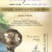 ST. KITTS AND NEVIS WINS ENERGY GLOBE NATIONAL AWARD