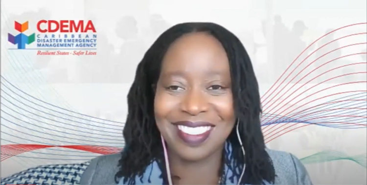 CDEMA, IFRC and French Red Cross PIRAC host Caribbean International Disaster Response Law (IDRL) Workshop