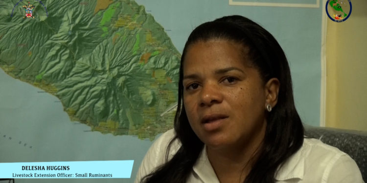 MUTTN’ OR NUTTN’ LUNCHEON TO SHOWCASE TASTE OF LOCAL MEAT