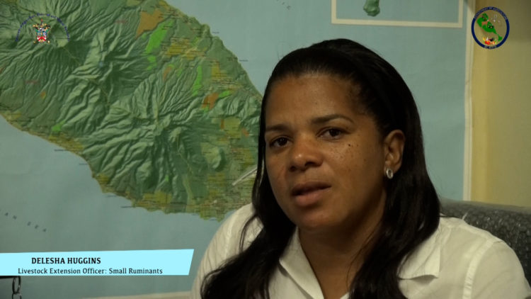 MUTTN’ OR NUTTN’ LUNCHEON TO SHOWCASE TASTE OF LOCAL MEAT