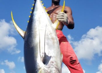 Sustaining the Tuna Value Chain in Grenada