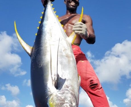 Sustaining the Tuna Value Chain in Grenada