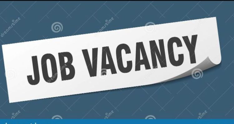 Job Vacancy: Communications Officer