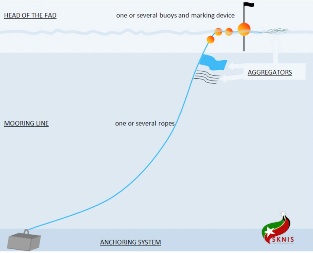 Fish Aggregating Devices to take center stage at upcoming WECAFC Meeting