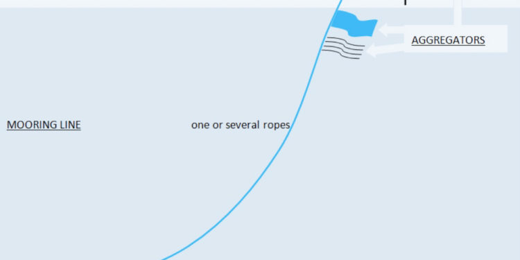 Fish Aggregating Devices to take center stage at upcoming WECAFC Meeting