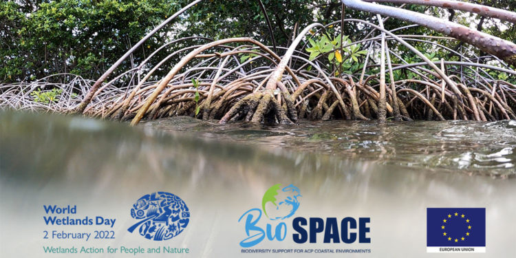 The OECS Recognises World Wetlands Day, 2022