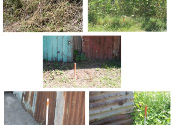 LA GUERITE NORTH SQUATTER REGULARIZATION PROJECT COMMENCES WITH THE FIRST THREE STAGES