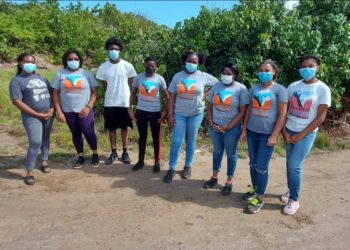 YOUTH SERVICES IN ST. KITTS AND NEVIS TO IMPROVE FOLLOWING COLLABORATION WITH YOUTH WORK ACADEMY