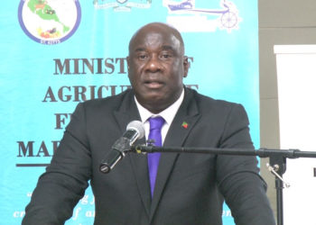 WOMEN CURRENTLY MAKE GREAT CONTRIBUTIONS TO THE AGRICULTURAL SECTOR, SAYS MINISTER JEFFERS