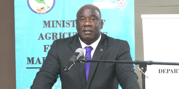 WOMEN CURRENTLY MAKE GREAT CONTRIBUTIONS TO THE AGRICULTURAL SECTOR, SAYS MINISTER JEFFERS