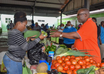 PRIME MINISTER HARRIS LAUDS THE SUBSTANTIAL PROGRESS BEING MADE IN THE AGRICULTURAL SECTOR