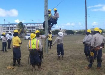 CARILEC TO TRAIN 163 REGIONAL LINEWORKERS IN POST-DISASTER RESTORATION SERVICES