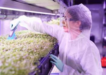 IICA expands its support for countries of the Americas in the development of biotechnology, a tool that provides agriculture with production and environmental benefits