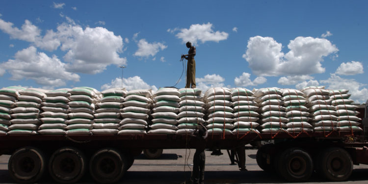 War drives large increases in international prices for wheat, maize and vegetable oils