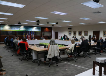 IICA supports tripartite actions by Haiti, the Dominican Republic and the United States to control and eradicate African swine fever in the hemisphere