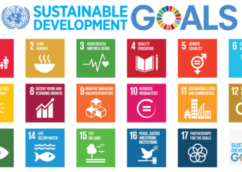 ELRETER SIMPSON-BROWNE REPRESENTS ST. KITTS & NEVIS AT SECOND GLOBAL WORKSHOP FOR THE 2022 VNR IN BOTSWANA