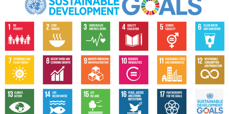 ELRETER SIMPSON-BROWNE REPRESENTS ST. KITTS & NEVIS AT SECOND GLOBAL WORKSHOP FOR THE 2022 VNR IN  BOTSWANA