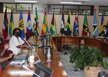 St. Kitts and Nevis’ Minister of Foreign Affairs addresses virtual CARICOM-Canada Meeting