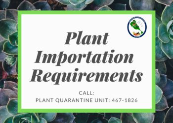PLANT AND RELATED MATERIALS IMPORTATION REQUIREMENTS