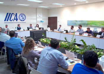 IICA will support the consolidation of a network of Ag Techs in the Americas to drive agricultural digitalization