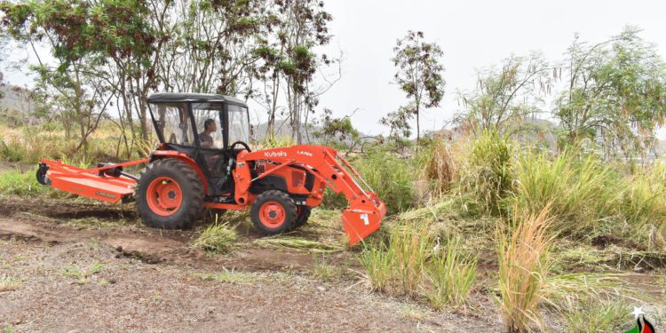 PM HARRIS DELIGHTED HIS CABINET IS MOVING AHEAD WITH THE CONSTRUCTION OF A MAJOR SOLAR FARM IN ST. KITTS