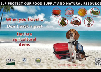 MINISTRY OF AGRICULTURE SPEARHEADING ANOTHER CAMPAIGN AIMED AT KEEPING DESTRUCTIVE PESTS AWAY