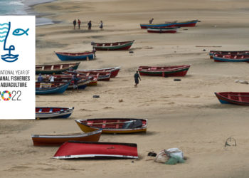 FAO Hooked on 24 Champions of Small-Scale Fisheries and Aquaculture