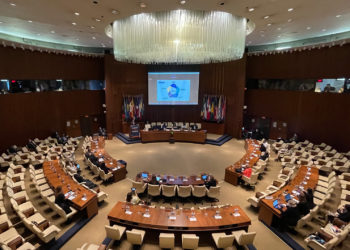 Nominees for PAHO Director address Member States at special forum