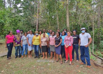Saint Lucia makes important strategic steps to protect its local Forest Land
