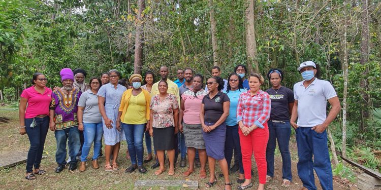 Saint Lucia makes important strategic steps to protect its local Forest Land