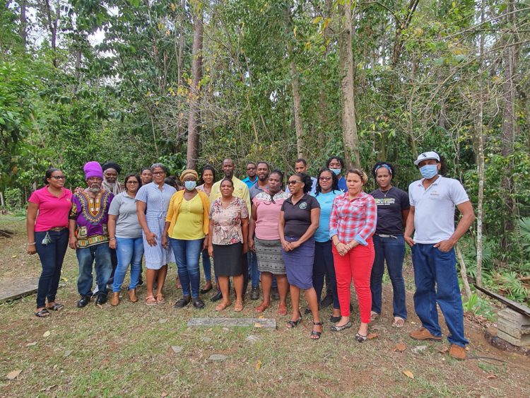 Saint Lucia makes important strategic steps to protect its local Forest Land