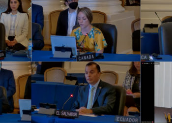 At OAS, Director General of IICA highlights inextricable link between agriculture and environmental sustainability; Ambassadors support Institute’s.