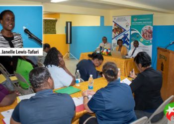 REVIEW OF CHILD PROTECTION AND JUVENILE JUSTICE SYSTEM GETS UNDERWAY IN ST. KITTS AND NEVIS