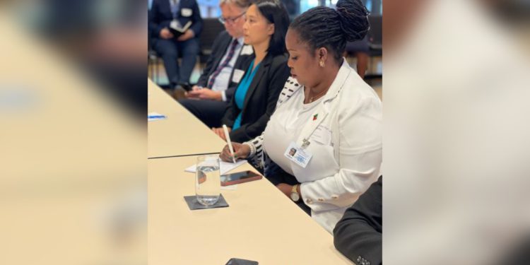 Minister of Environment sits in UN sessions designed to help St Kitts and Nevis move towards solutions for tackling pollution and single-use plastics
