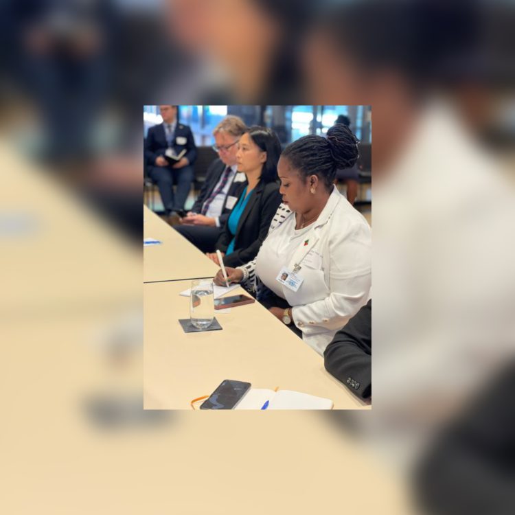Minister of Environment sits in UN sessions designed to help St Kitts and Nevis move towards solutions for tackling pollution and single-use plastics 